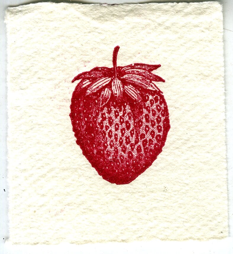 Mini Letterpress Cards from Le Vocabulaire Illustré Note Card Papillon Press Strawberry - single - red 