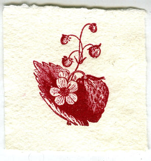 Mini Letterpress Cards from Le Vocabulaire Illustré Note Card Papillon Press Strawberry with leaves - red 