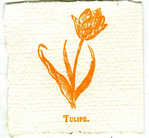 Mini Letterpress Cards from Le Vocabulaire Illustré Note Card Papillon Press Tulip - orange 