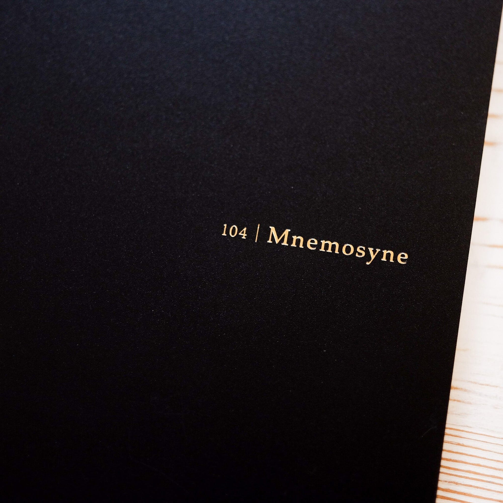 104 B5 Notebook Wire Bound Notebook Mnemosyne 