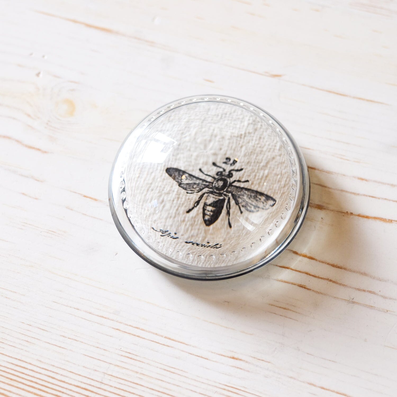 Glass Paperweight - Small Dome paperweight Papillon Press Black Bee 