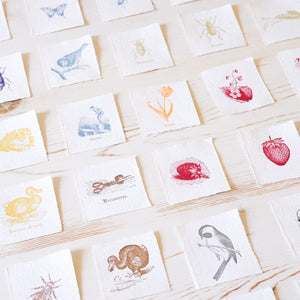 Mini Letterpress Cards from Le Vocabulaire Illustré Note Card Papillon Press 